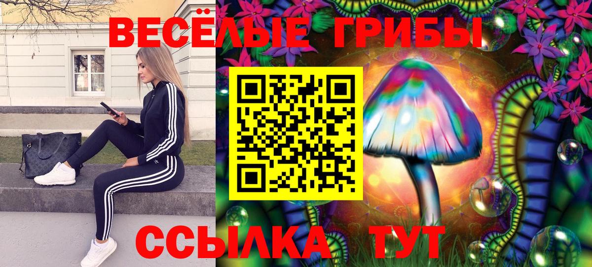 Псилоцибиновые грибы Cubensis Новоалександровск